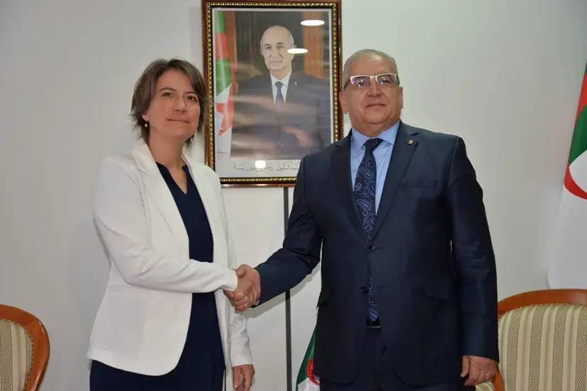انعقاد أشغال الدورة الخامسة للمشاورات السياسية الجزائرية - البلجيكية